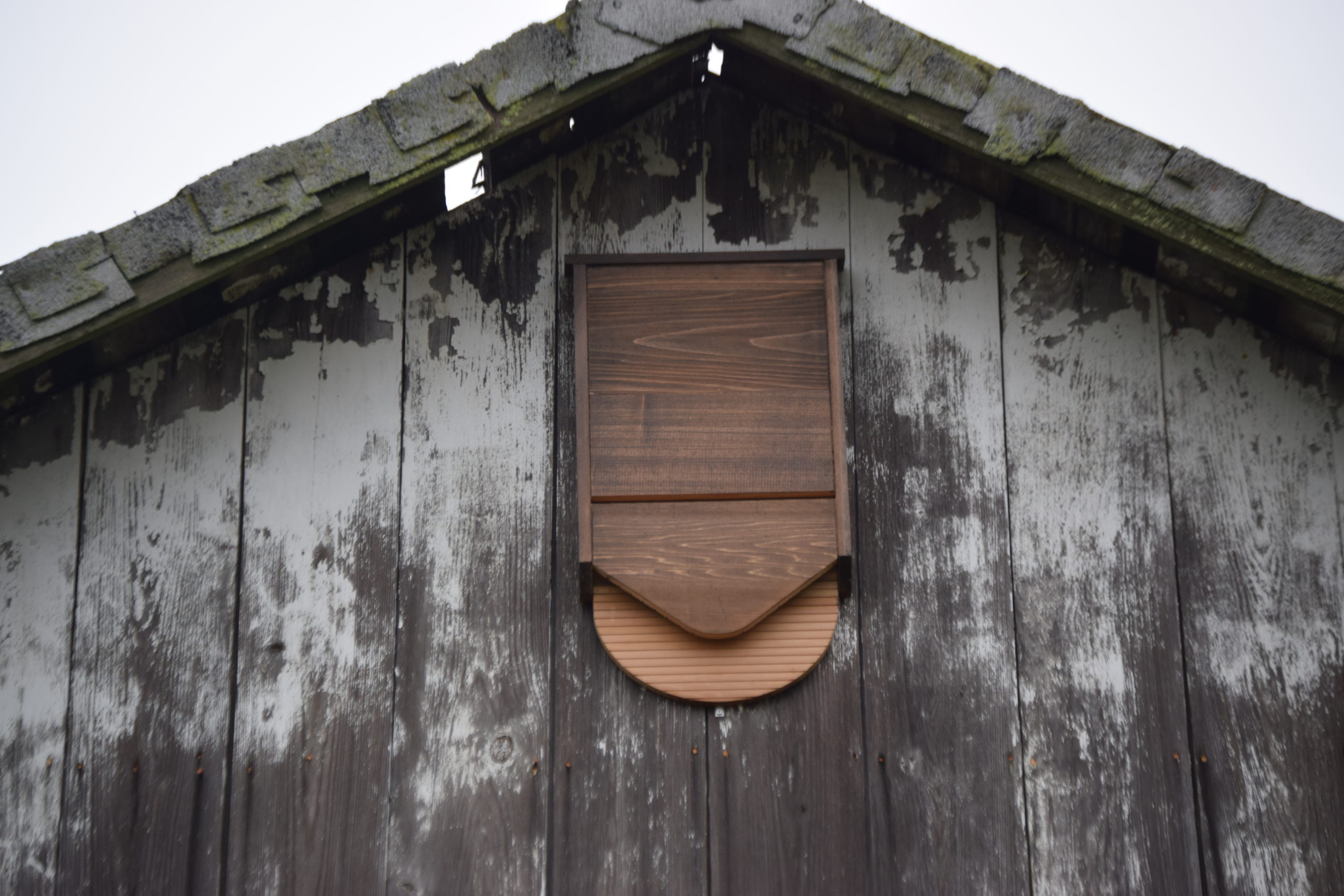 Close-up of the entrance to the bat house here at Blackburn.
