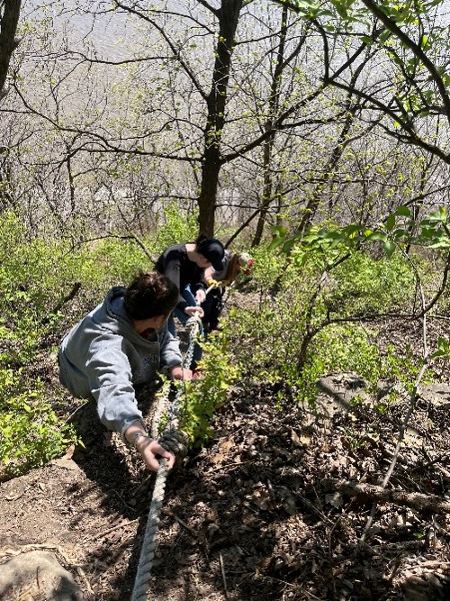 Students scaling a bluff during a trip to Principia College
