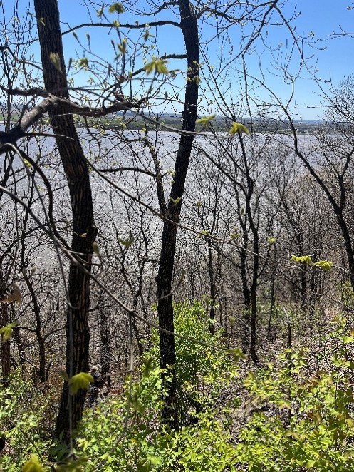 Bluff overlooking Mississippi River