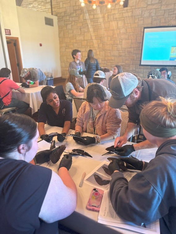 Students learning in the Duck Wing ID Workshop