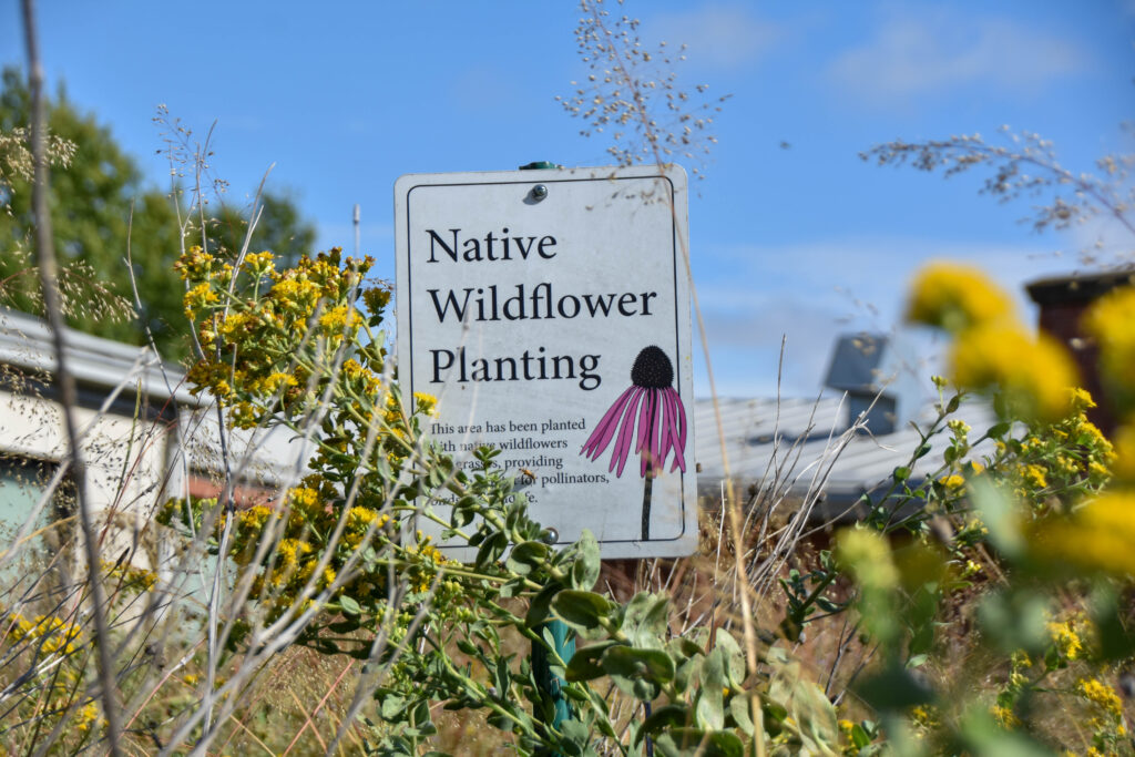 pollinator garden mahan